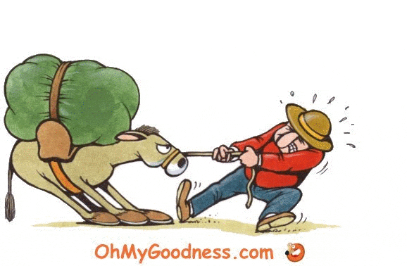 : E' la festa dei lavoratori!